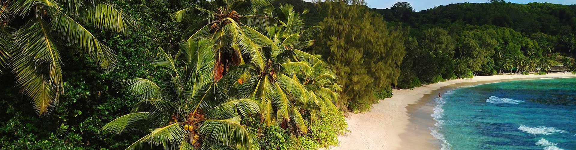 Secluded beach in Barbados, surrounded by luscious palm trees.